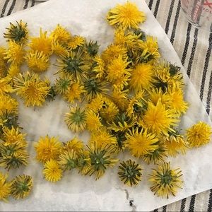 Meet your Posher, Gretchen